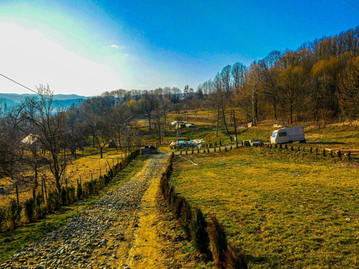 Pensiunea La Buruiana Curtea De Arges Exterior photo